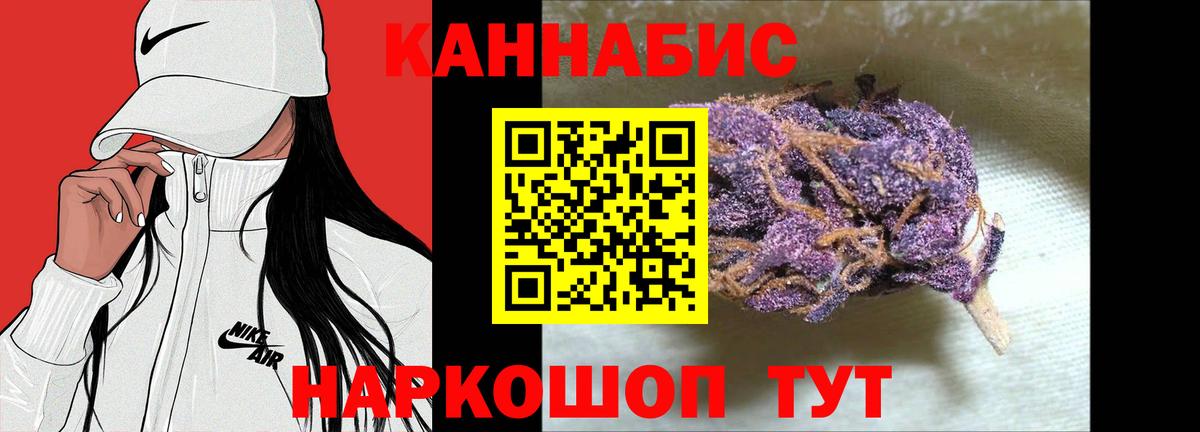 Бошки Шишки планчик Ногинск